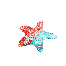 Carica l'immagine nel visualizzatore di Gallery, Stella Marina Decorativa - Set 5 pz
